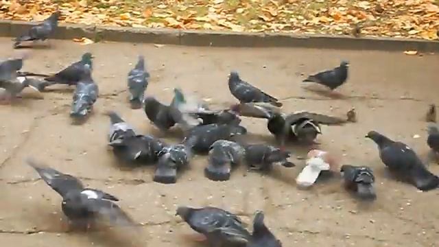 Дикий дикий Вест смотреть онлайн