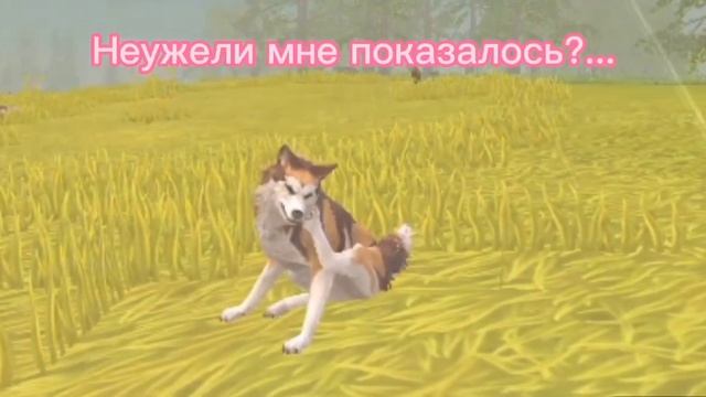 Мини фильм "Стихия огня" (WildCraft) смотреть онлайн