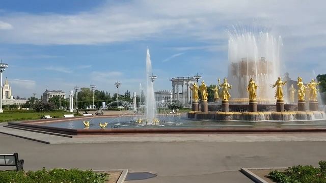 Океанариум "Москвариум" - как добраться от метро ВДНХ смотреть онлайн