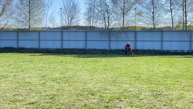 1.  выражено/перв NOX FOM GRUNEN STADT (Uvo Dell*Alto Ofanto – De Orse Mak Flai Olivka)