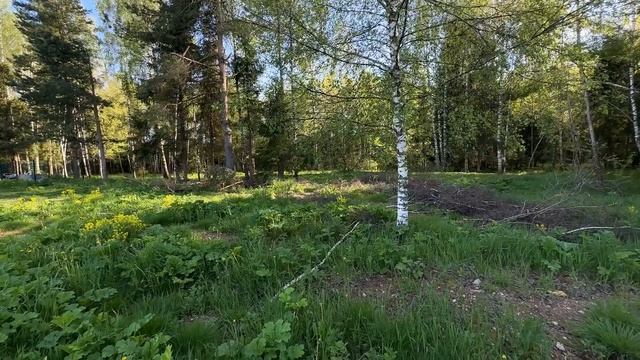 видео ЗУ Арбузово смотреть онлайн
