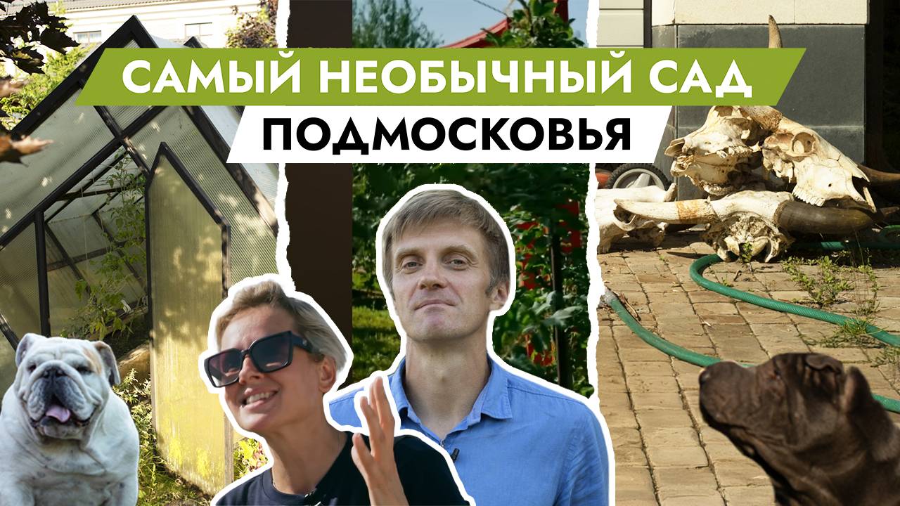 Очень мужское увлечение | «Московские дачи» в саду у Николая Логутенкова