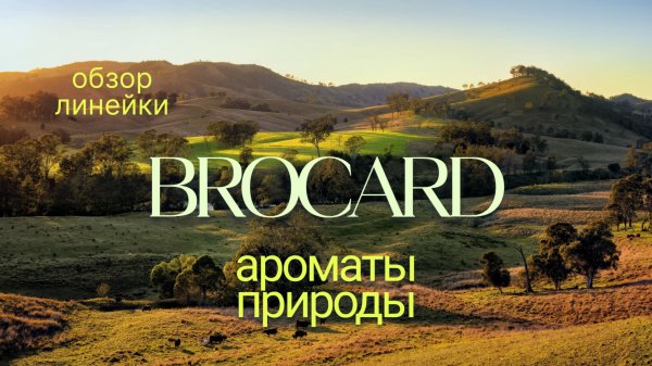 БЮДЖЕТНО и ОТЛИЧНО - Обзор Линейки Brocard "Ароматы Природы"