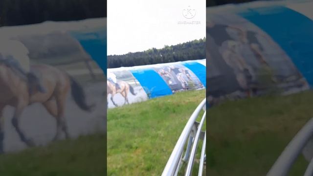 На одном дыхании | Шоко-Смехо-Терапия | Mehliskopf