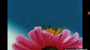 Пчёлка майя Карусель Анонс (12.6.2021)