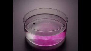 Телепорт - Иван Дорн