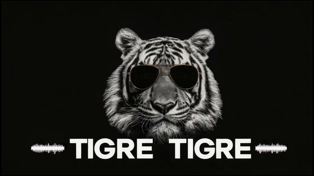 Tigre, Tigre – ВОРТЕКС Official Trap Track 2025