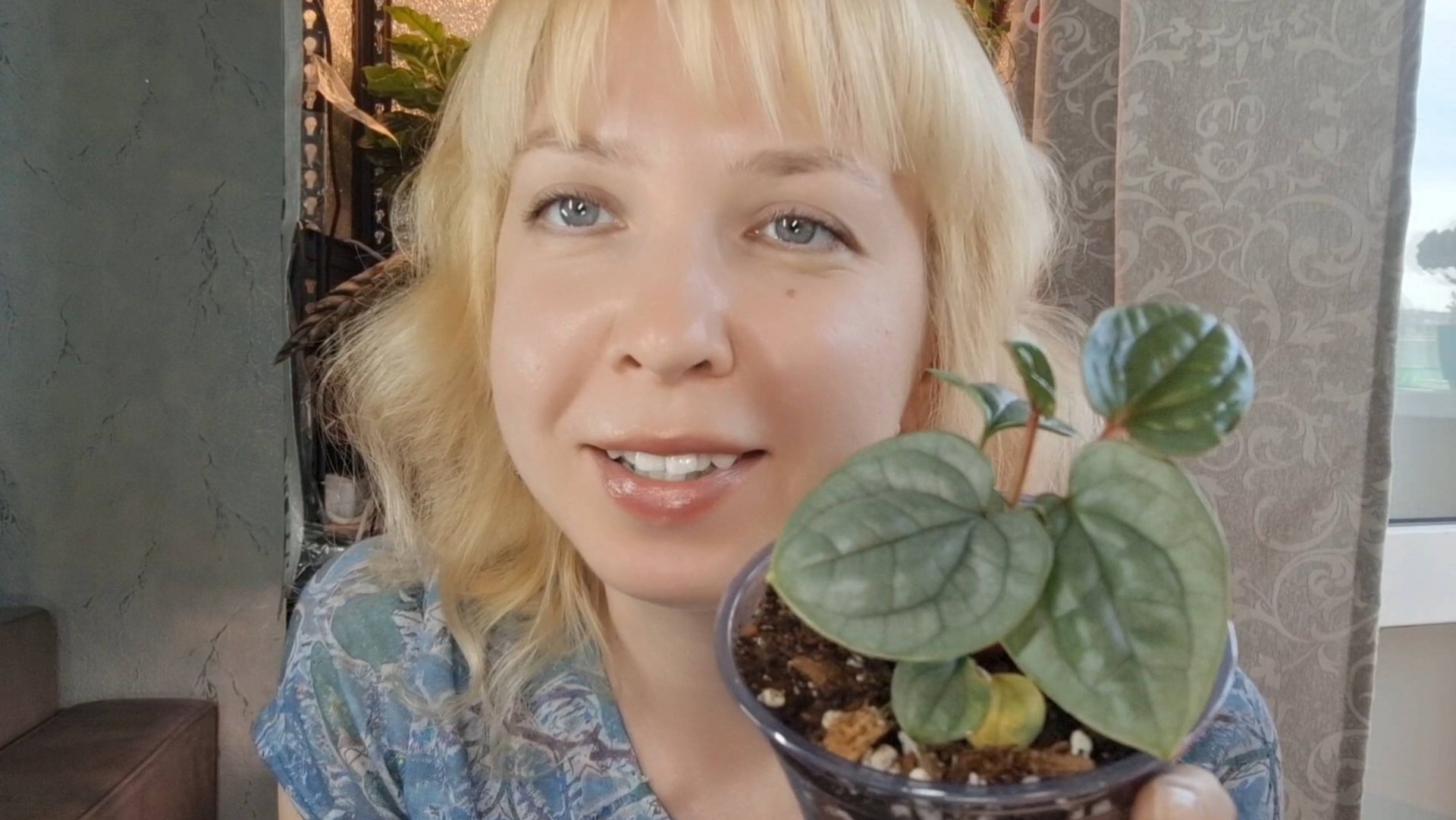 Моя новиночка антуриум Люксурианс, разделение и пересадка смотреть онлайн