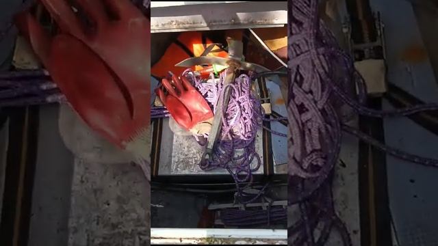 Прогресс 2М в полном фарше