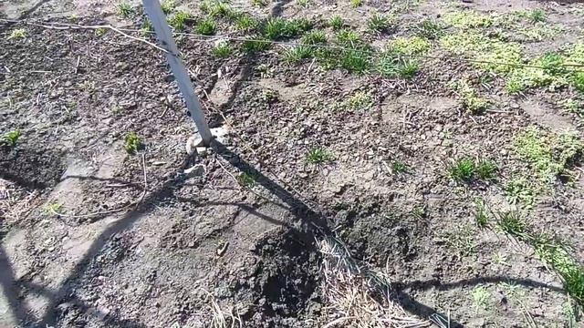 Бур Vs Лопата