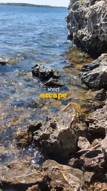 Short Escape — маленькие путешествия, которые вдохновляют 🌍✈️