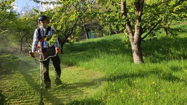 Stihl Fs250, маска