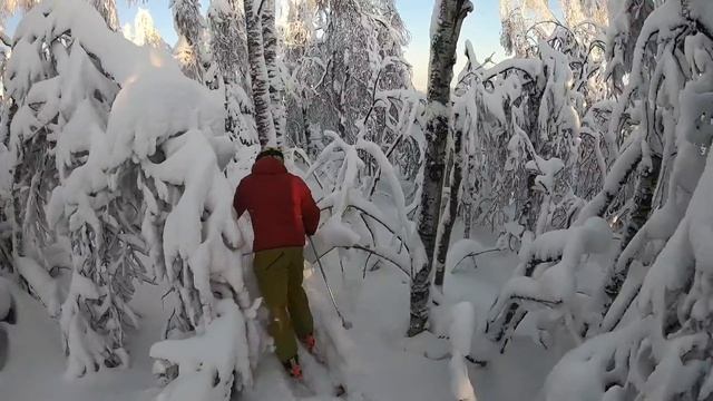 Губаха в декабре
