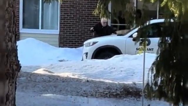 Канадцы расправились с индейкой, которая несколько недель наводила ужас на Луисвилл смотреть онлайн