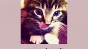 музыка для флешмоба