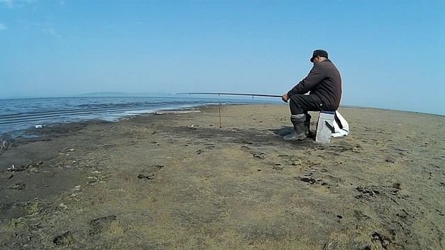 Ловля карасей и сома. Хороший клев смотреть онлайн