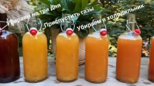 Ферментированный напитки в домашних условиях от Кири?