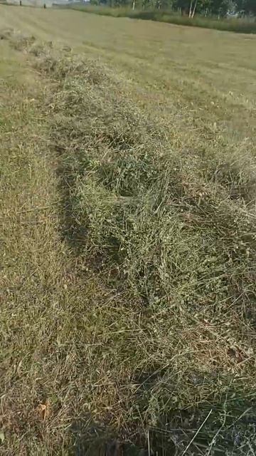 снова трудимся #т40 т16#т25. смотреть онлайн