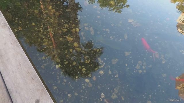 Прогулка по Тель-Авиву (Tel Aviv) Часть 2, сентябрь 2018 года смотреть онлайн