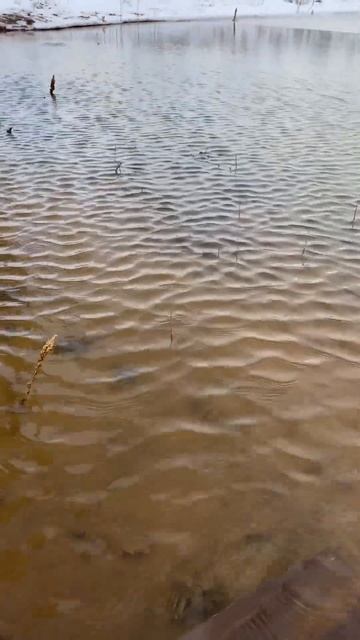 Як просідають грунти. Вода камінь точить. смотреть онлайн