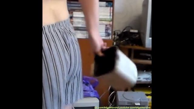 Комментарии к  Нюхаю пуки