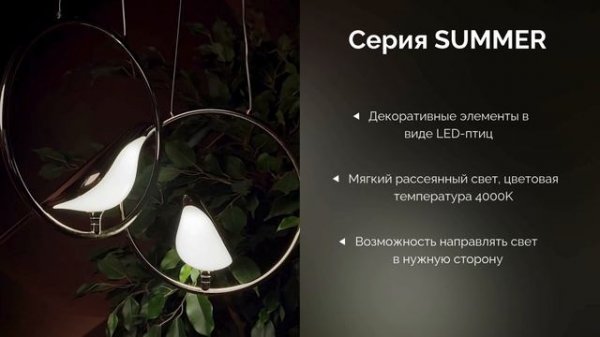 Серия SUMMER от DIVINARE