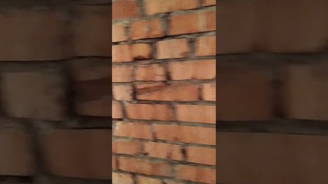 Газоблок кладка и под мяки штукатурка ишларимизни бош смотреть онлайн