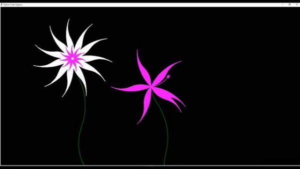 ЦВЕТЫ в PYTHON