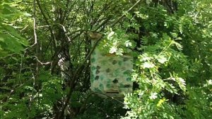 роеловство2025 часть2