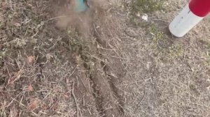 Культиватор аккумуляторный электрический садовый ручной для дачи