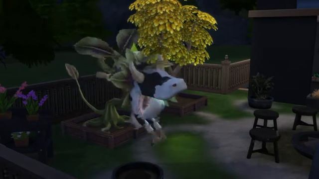 Видео 23 смотреть онлайн