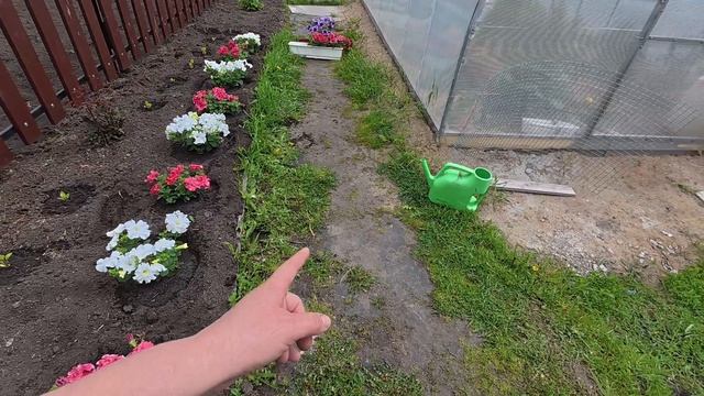 Наработала за день, мои Невестушки смотреть онлайн