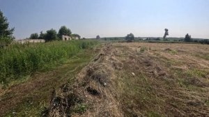 Уборка сена. Т-25 с валковыми граблями.