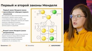 Генетика: основные понятия, закономерности наследственности: законы Менделя. ЕГЭ по биологии 2024
