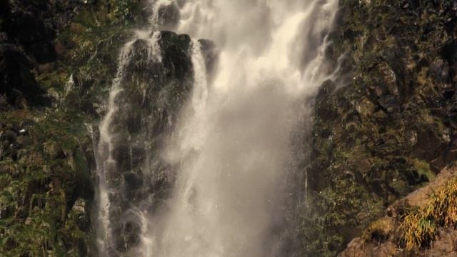 - Убирайся из моей квартиры, видеть тебя не могу и сына смотреть онлайн