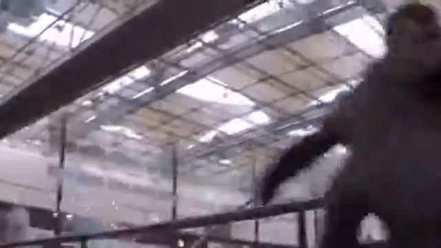 Саундтрейлер на фильм «Золотой глаз» (kinolove.net) смотреть онлайн