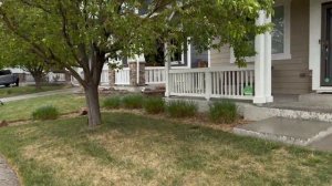 Переезд в США 2025. Работа, работа и еще раз работа!!!