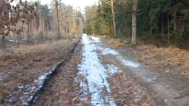 Загонная охота 26.11.2023 смотреть онлайн