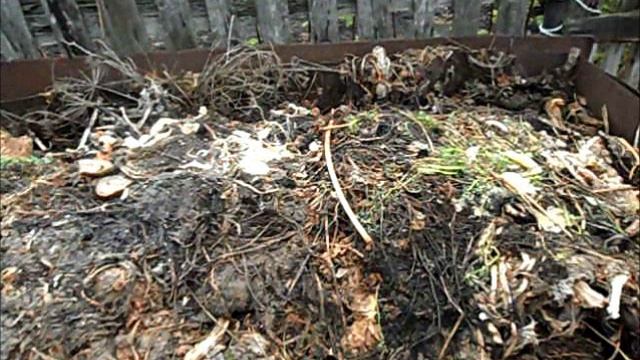 Мой компостный ящик