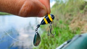 УДАР и спиннинг в ДУГУ, да ЭТО ОН! БЕЗОТКАЗНАЯ приманка КОТОРАЯ ЛОВИТ! Рыбалка в 2025