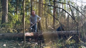 Kellokoski 18 / Billnas 12.2. Финские топоры в работе по ёлке.