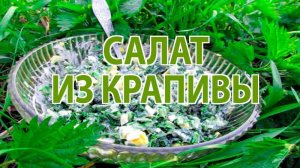 Салат из крапивы с яйцами на скорую руку — простой и витаминный рецепт.