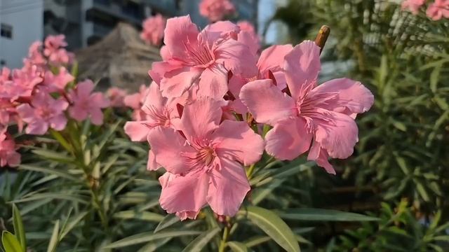 Муж с любовницей смеялись над женой в суде. Но жена уже