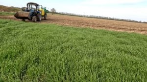 Как плуг убивает землю. Сравнение плуг и чизель. Озимы?