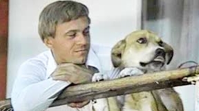 Песня «Лохматый Пёс»... о верной дружбе...