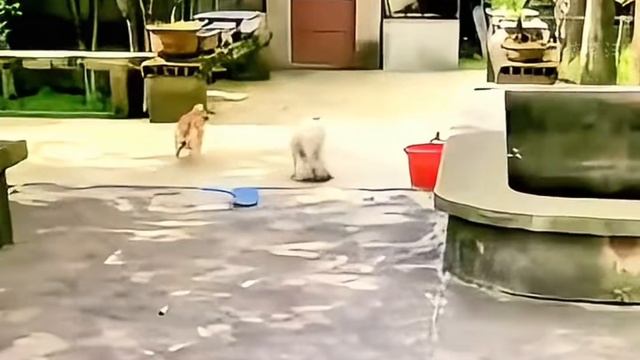 #Зона комфорта 4 сезон 1 серия