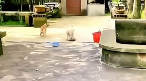 #Зона комфорта 4 сезон 1 серия