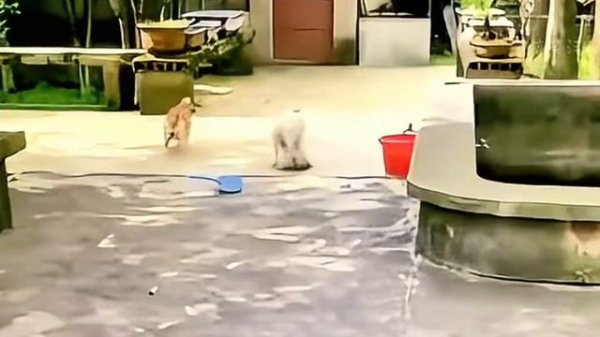 #Зона комфорта 4 сезон 1 серия