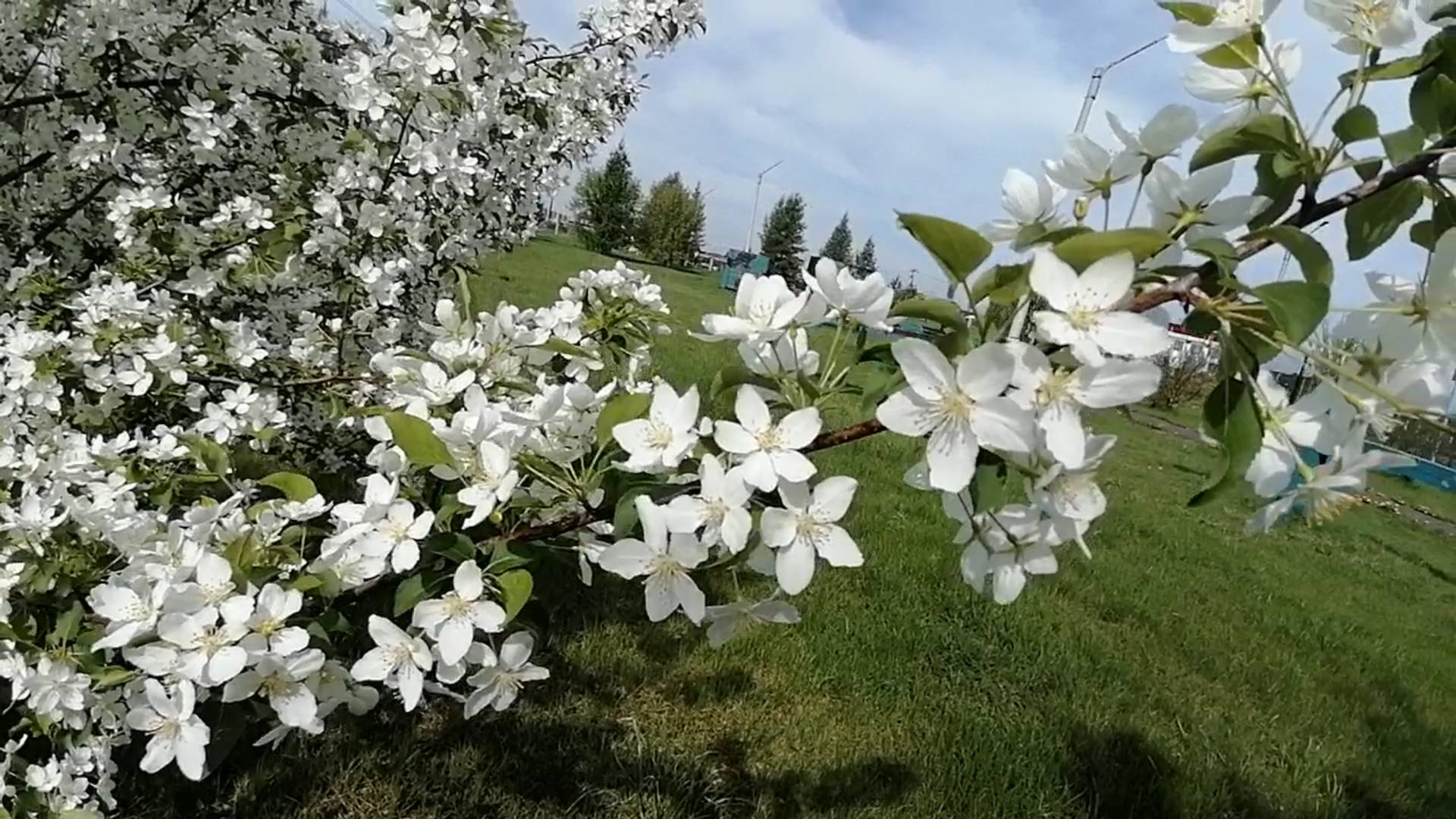 Май смотреть онлайн