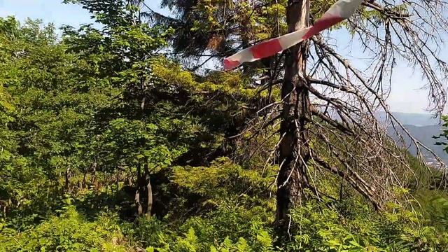 Пробіг у горах 15 км без води. Перша спроба трейлового б